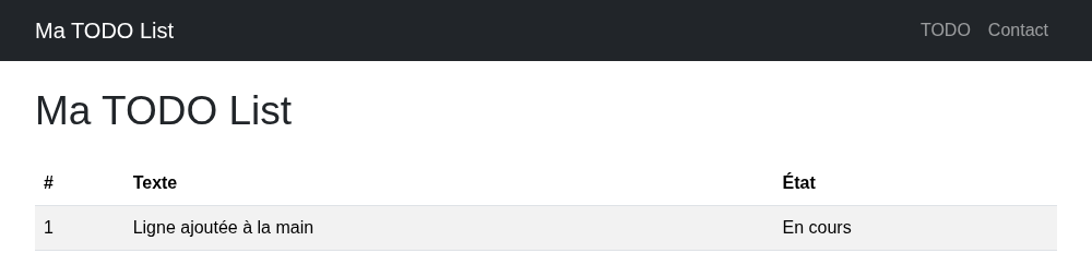 La page /todo affiche la ligne ajoutée à la main dans la base